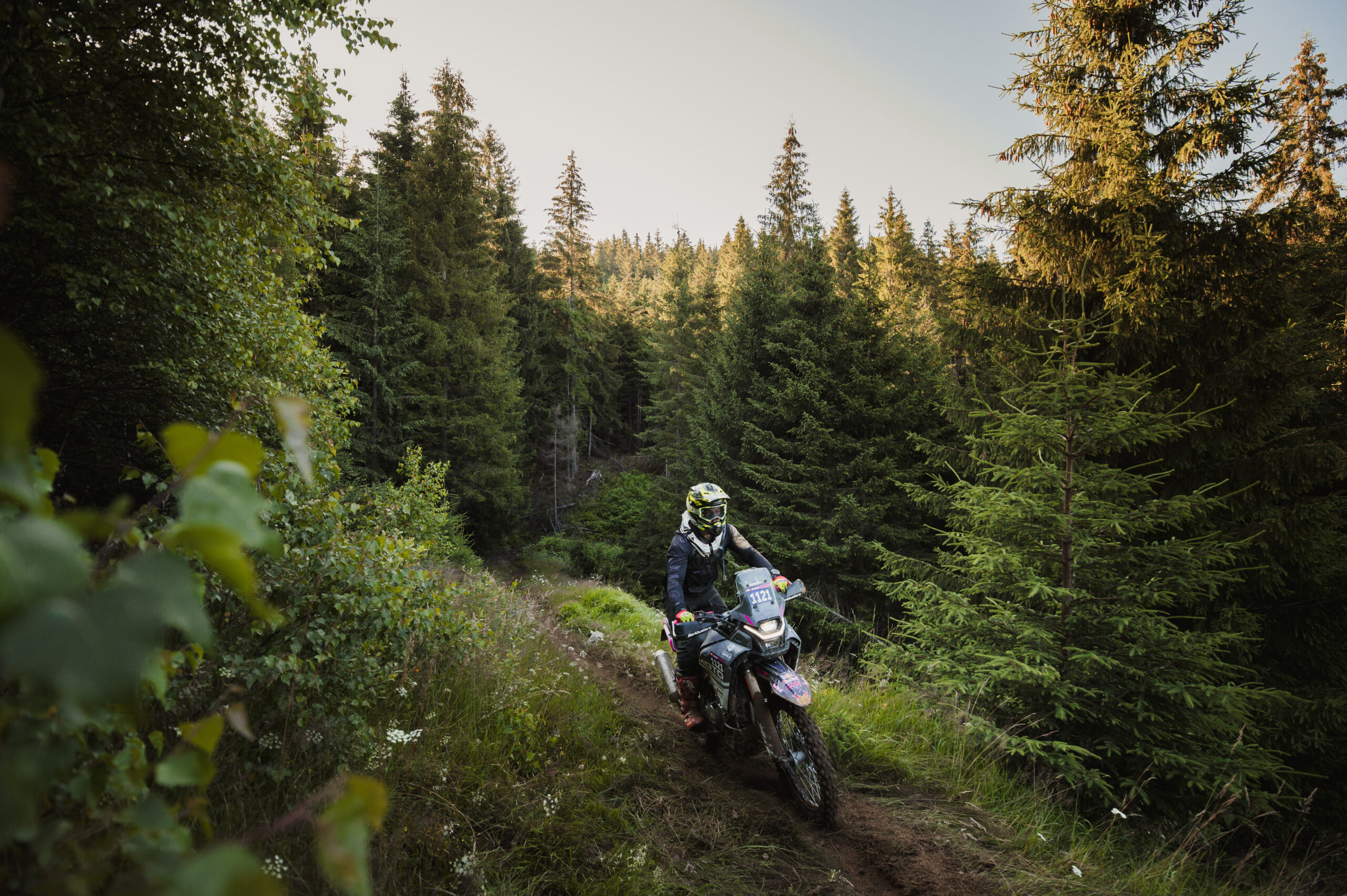 CFMOTO 450MT Mountains 